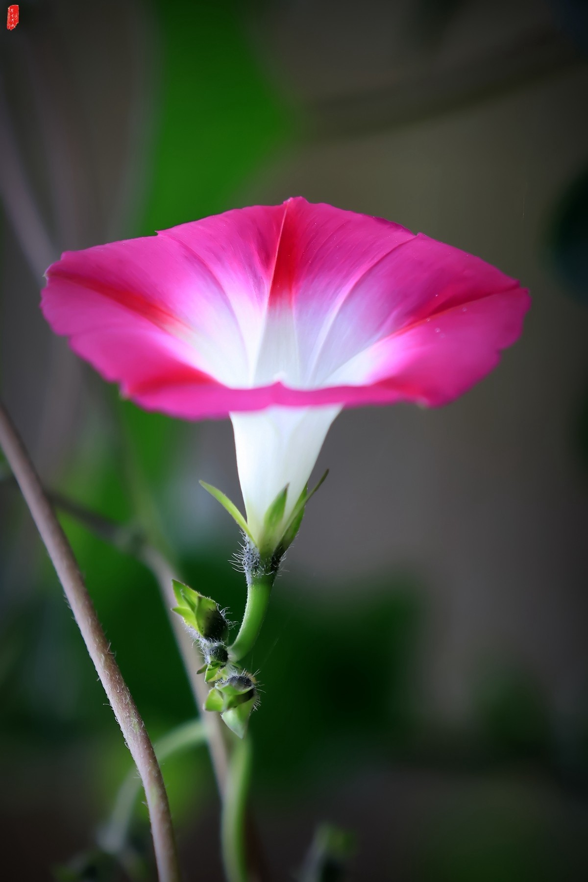 牽?；ㄐ∮? />
</span>
<span id=